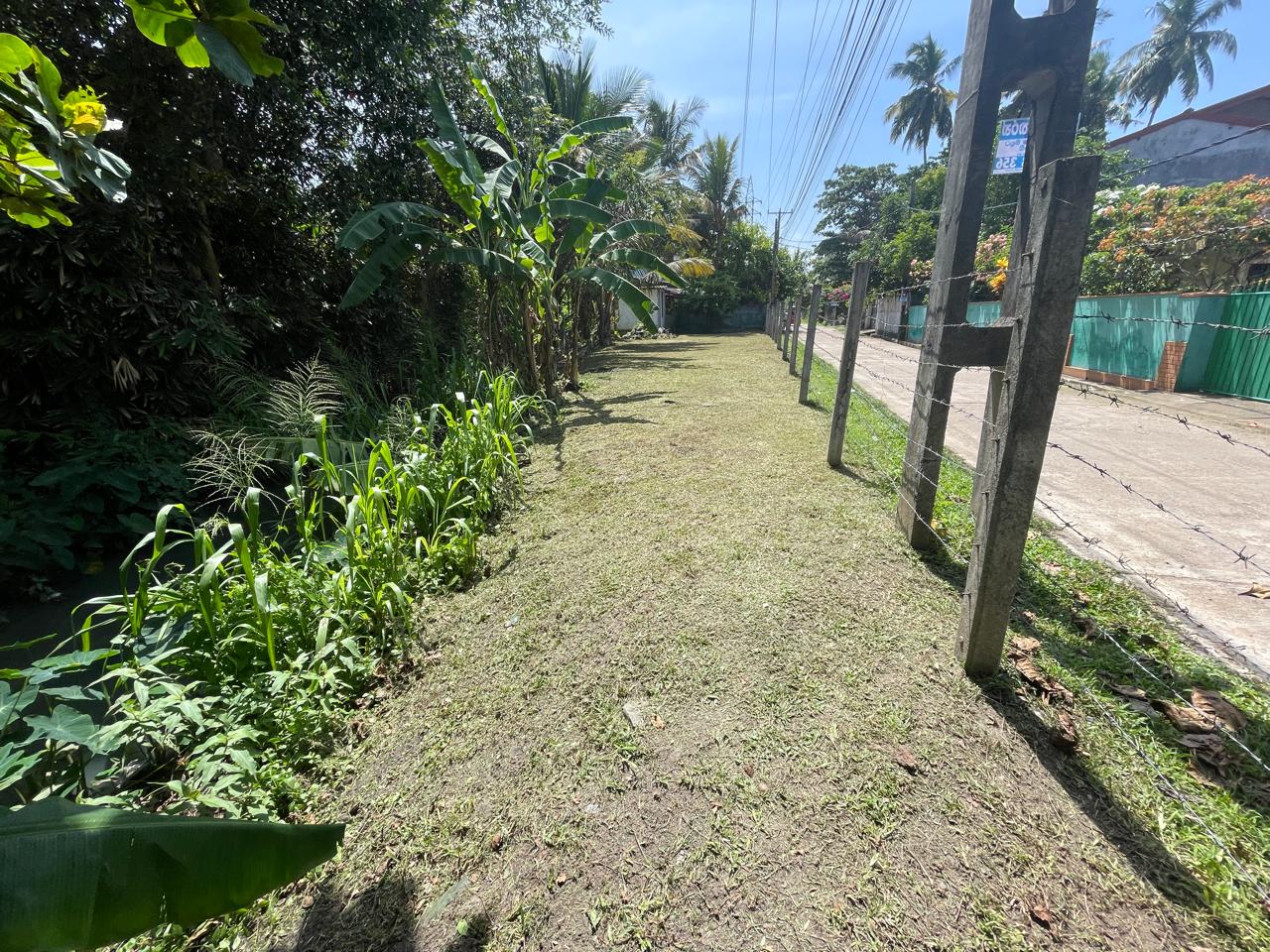 පානදුර නගරයෙන් වටිනා ඉඩමක් විකිනිමට ඇත