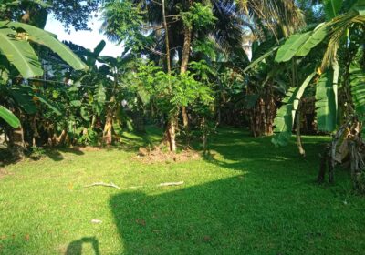 25 p land in Kohalwila road Dalugama Kelaniya