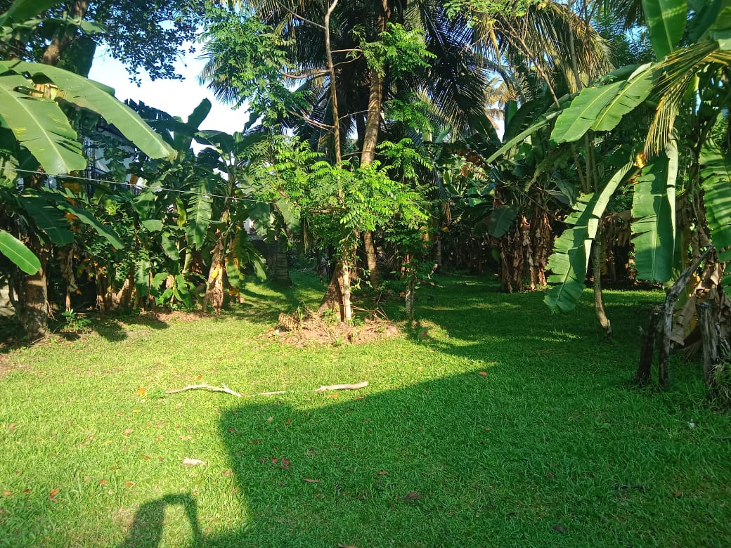 25 p land in Kohalwila road Dalugama Kelaniya