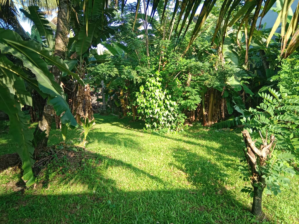 25 p land in Kohalwila road Dalugama Kelaniya