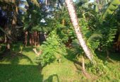 25 p land in Kohalwila road Dalugama Kelaniya