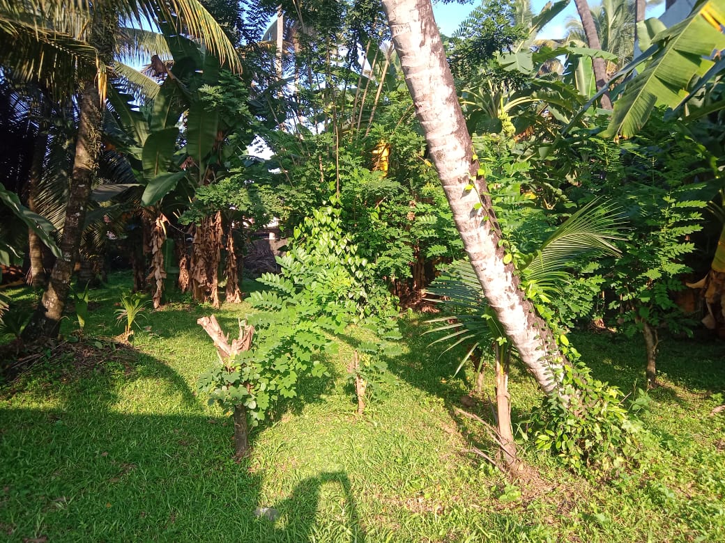 25 p land in Kohalwila road Dalugama Kelaniya