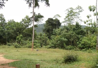 Land for Sale in Padukka