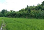 Land for Sale in Waligama
