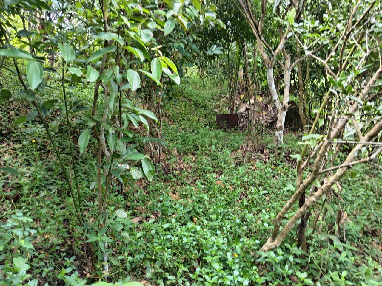 Land for Sale in Waligama