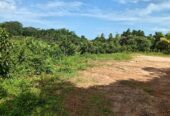 Land for Sale in Waligama
