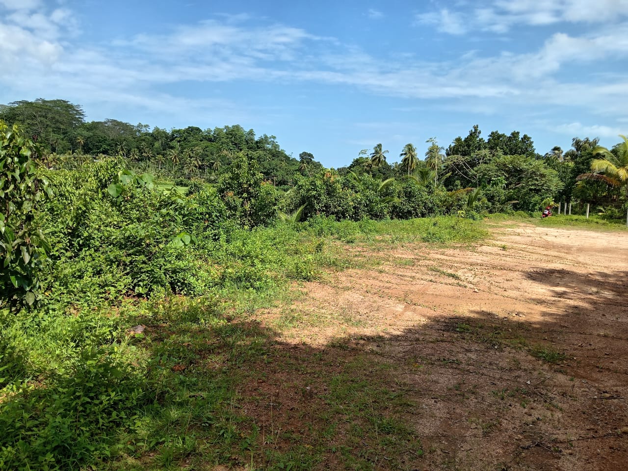 Land for Sale in Waligama