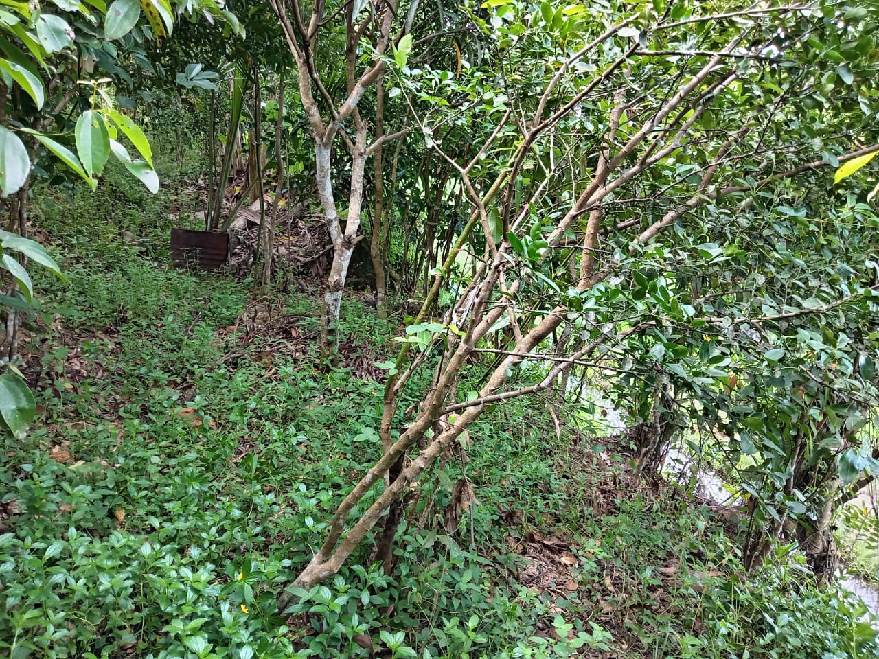 Land for Sale in Waligama