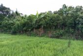 Land for Sale in Waligama