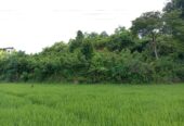 Land for Sale in Waligama