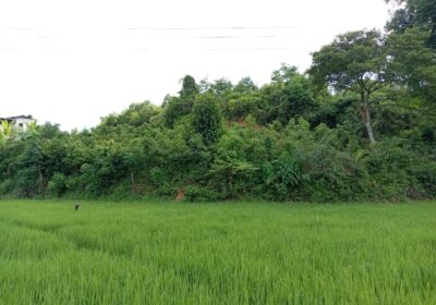Land for Sale in Waligama