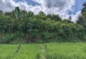 Land for Sale in Waligama