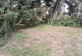 Land For Sale Kandana