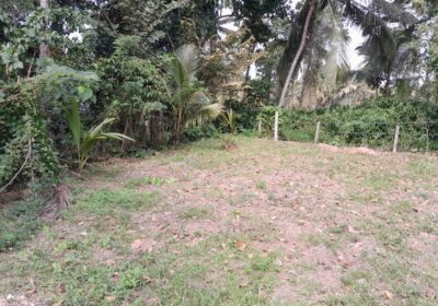 Land For Sale Kandana