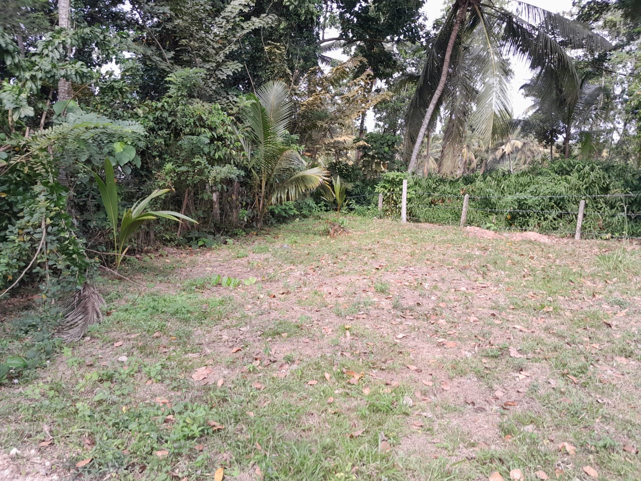 Land For Sale Kandana
