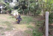 Land For Sale Kandana