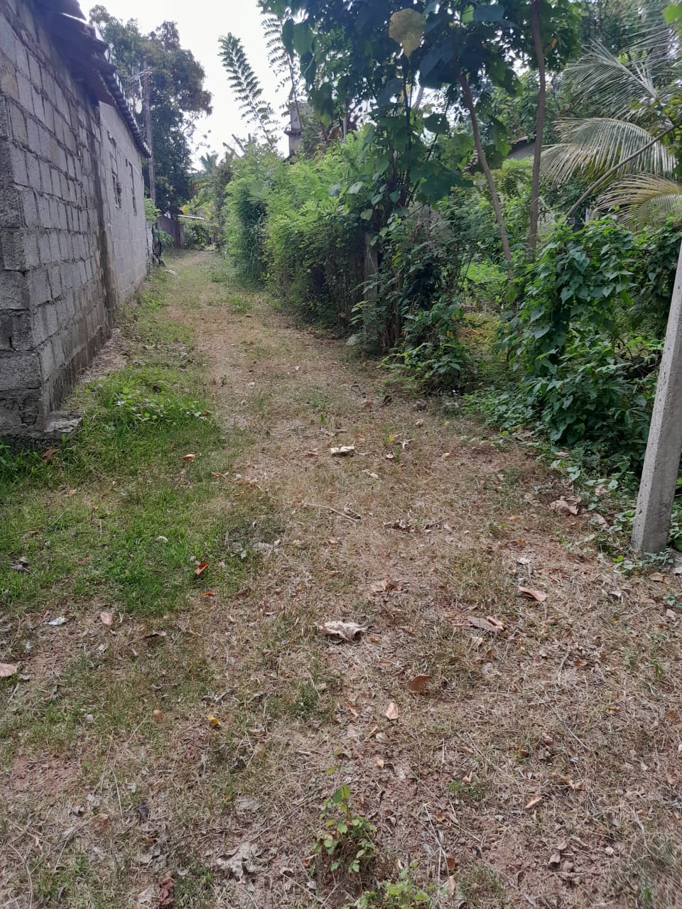 Land For Sale Kandana
