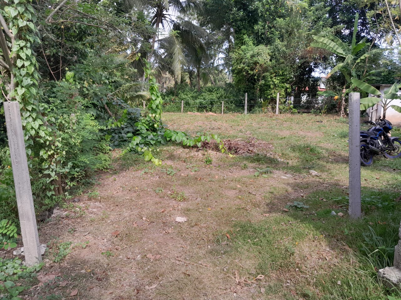 Land For Sale Kandana