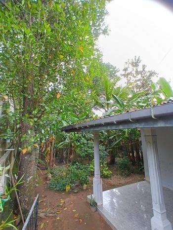 Land with House Angoda