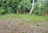 House with Land for Sale in Gale