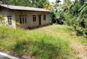 House with Land for Sale in Gale