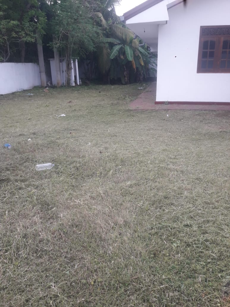 නිවසක් කුලියට – අලුත්ගම