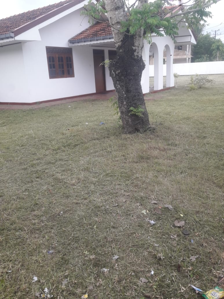 නිවසක් කුලියට – අලුත්ගම