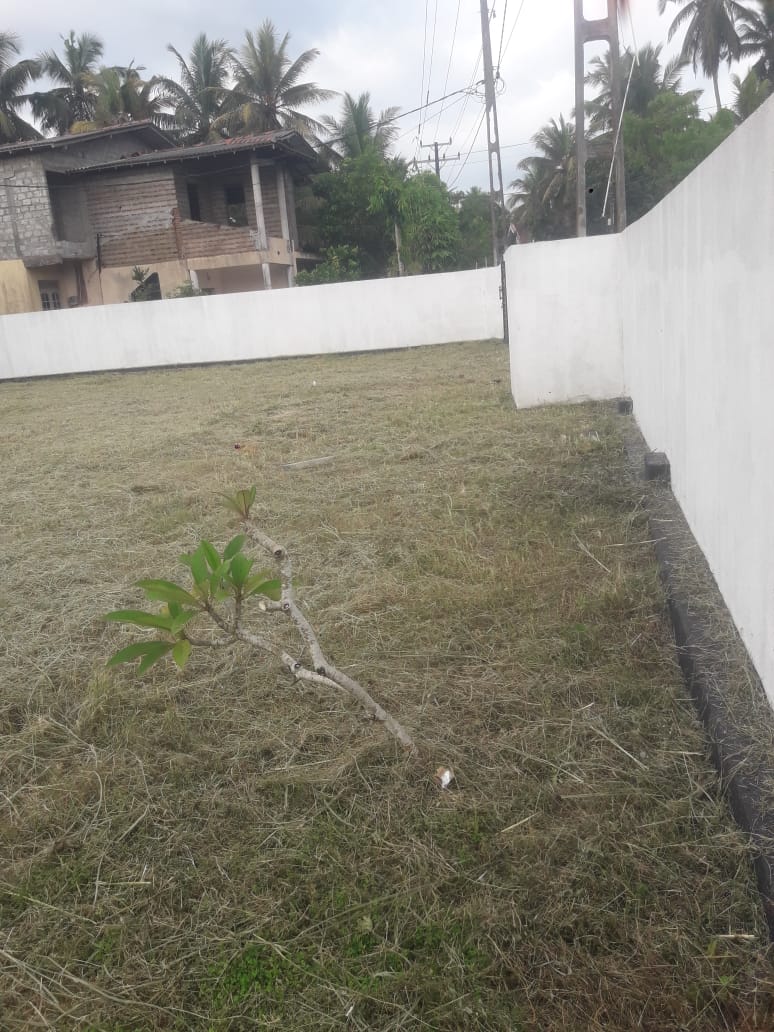 නිවසක් කුලියට – අලුත්ගම