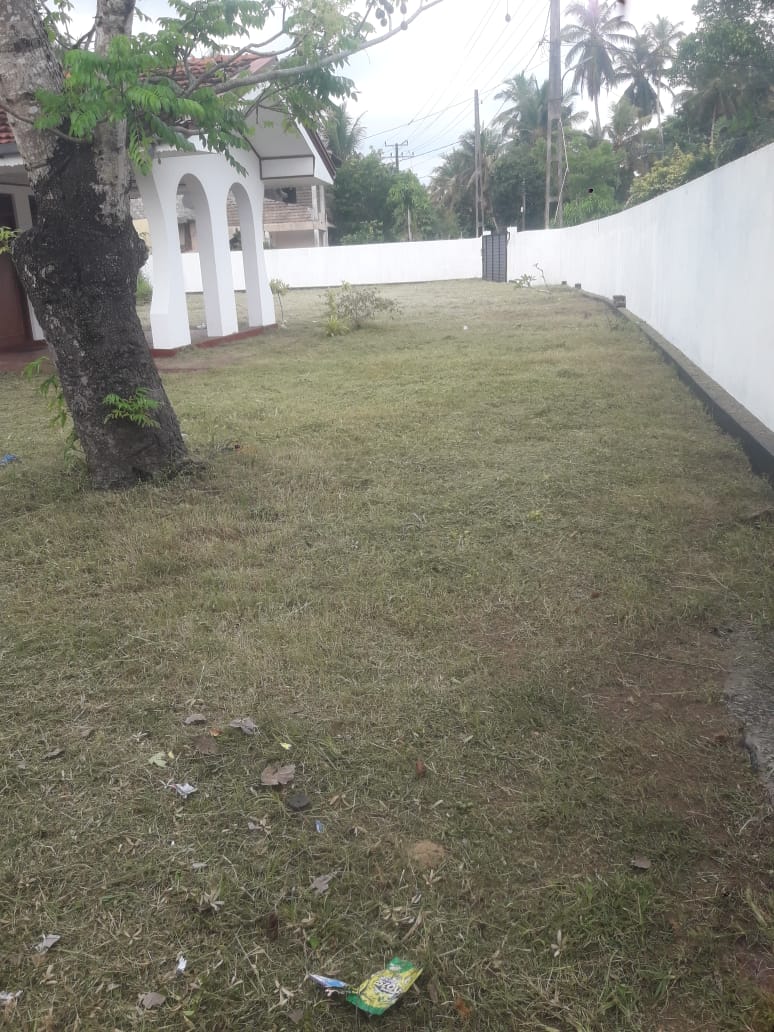 නිවසක් කුලියට – අලුත්ගම