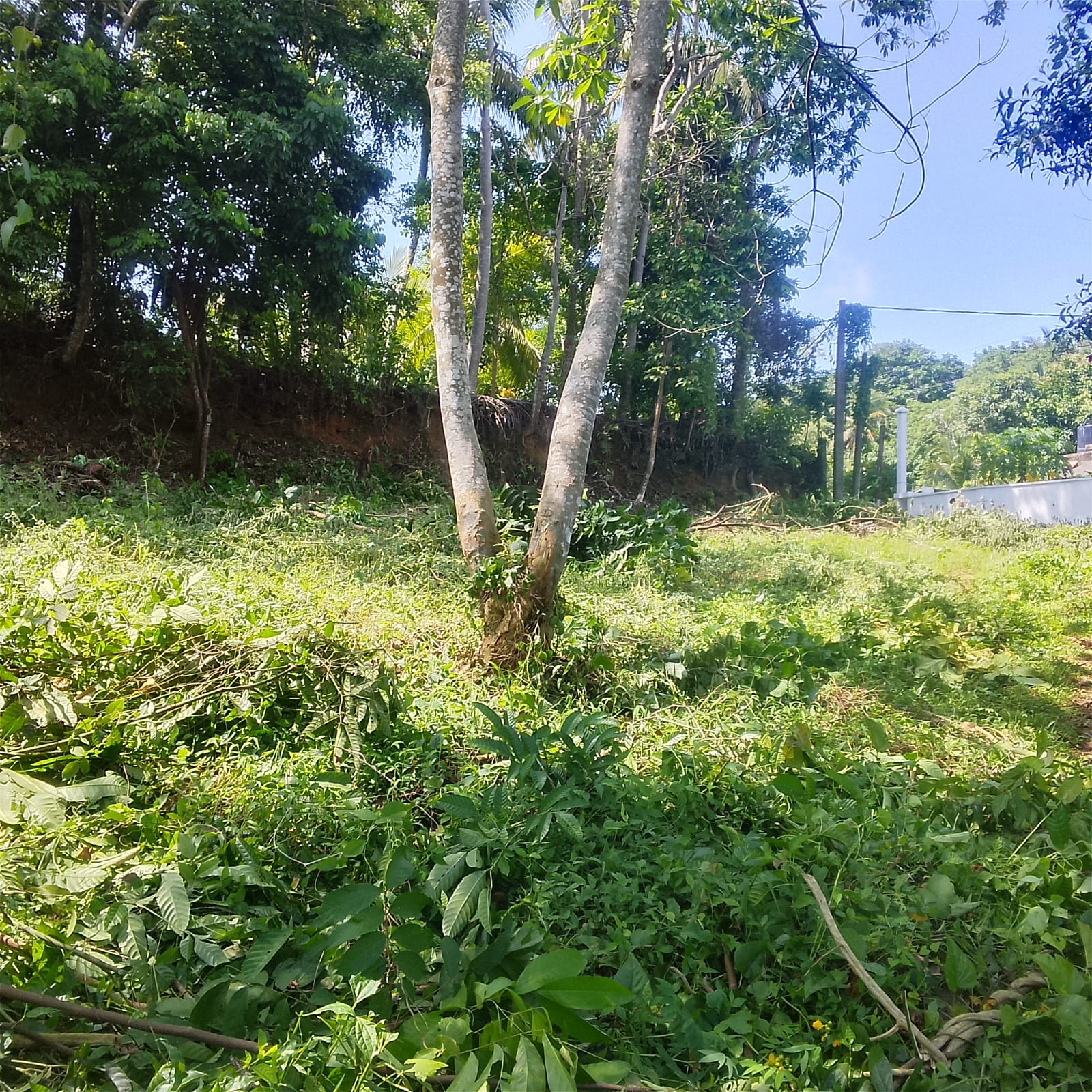 Land for Sale Galle