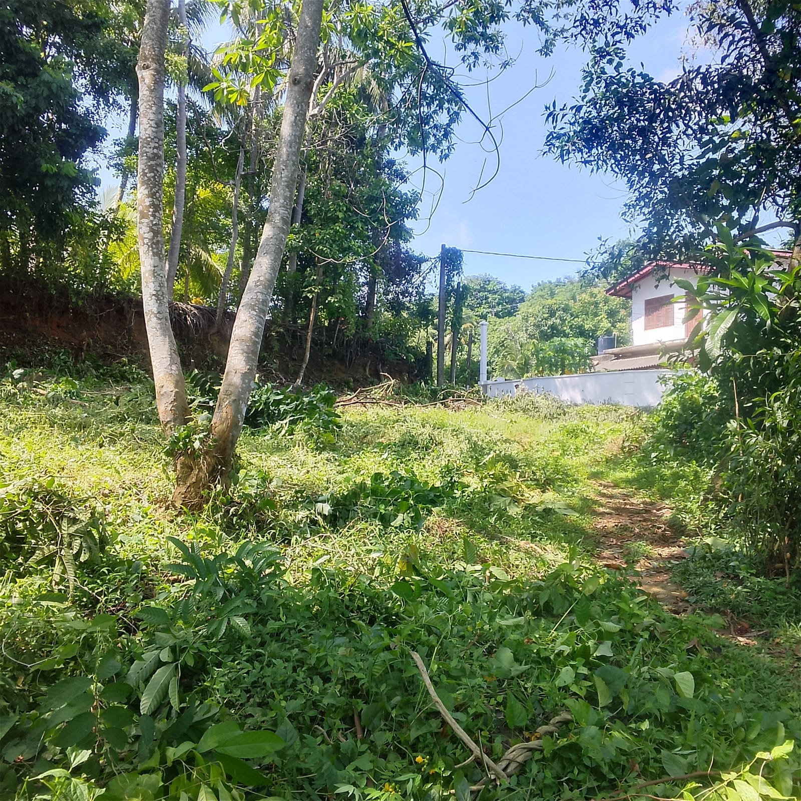Land for Sale Galle