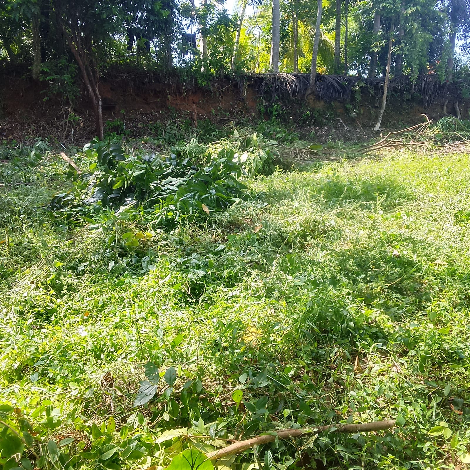 Land for Sale Galle