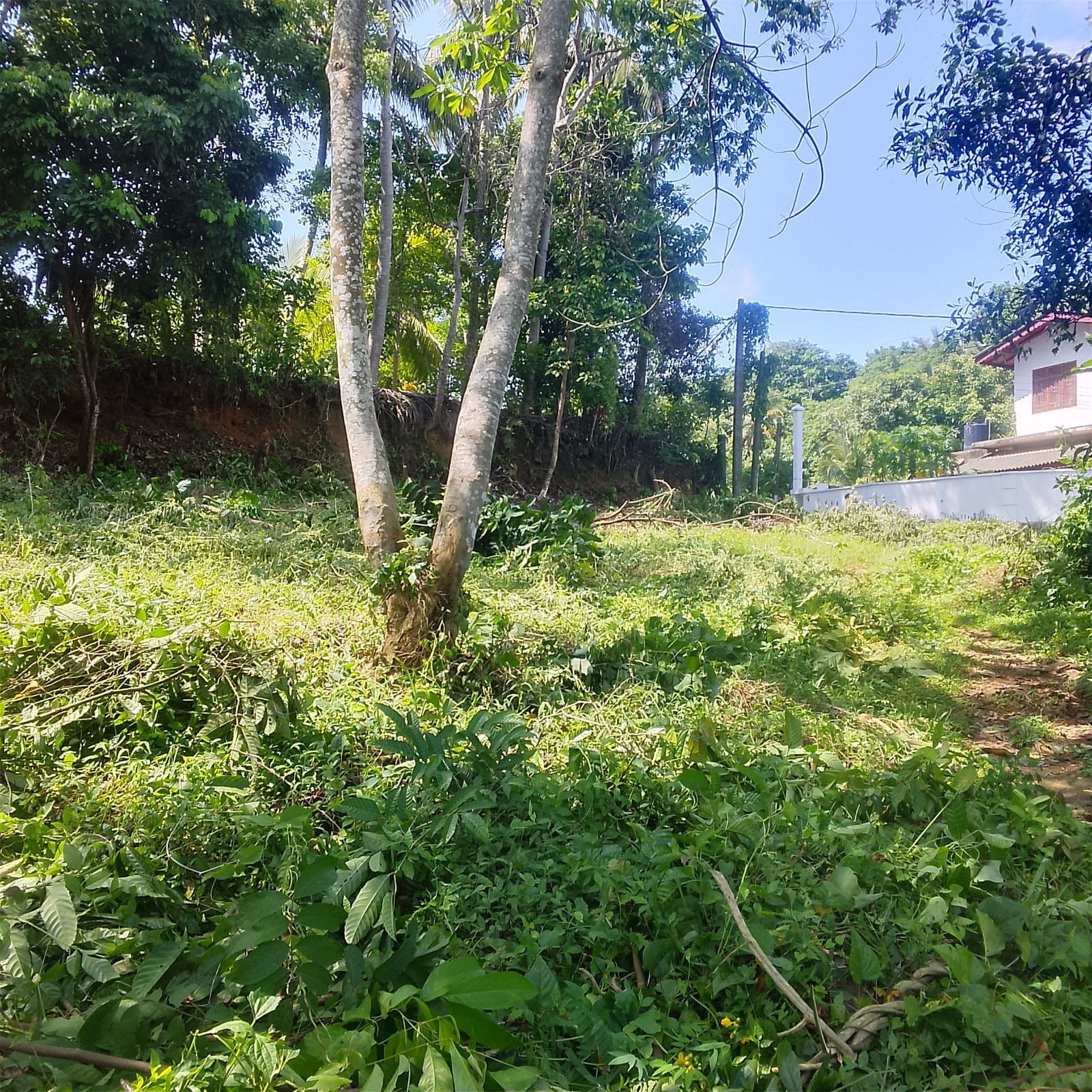 Land for Sale Galle