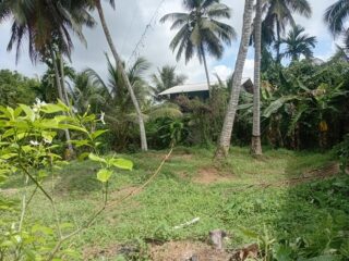 IMG-20251208-WA00021