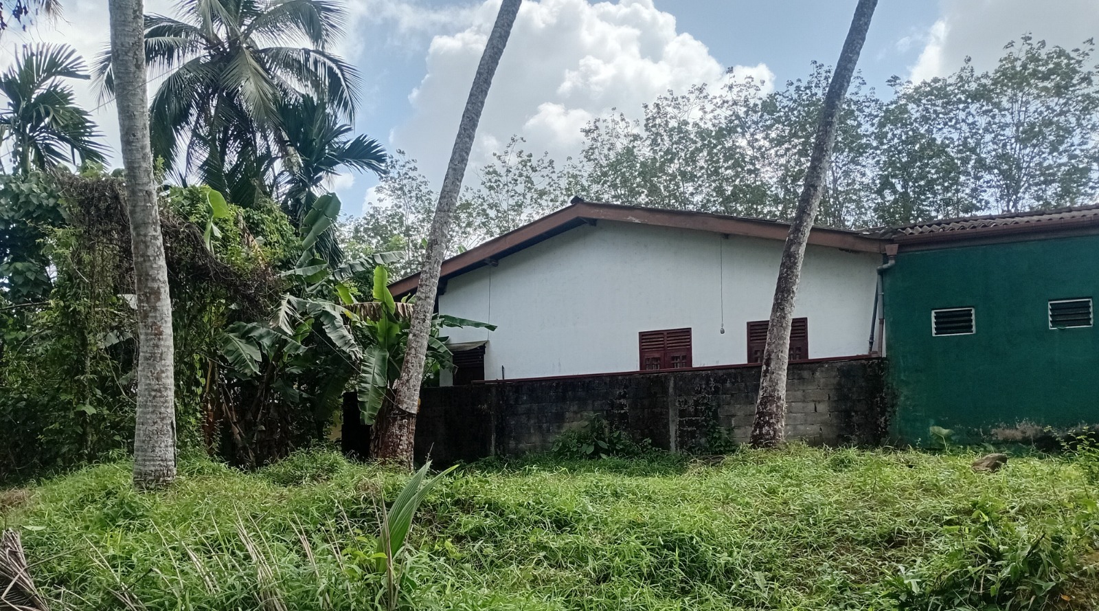 Coconut Land for sale Liyanwala , padukka