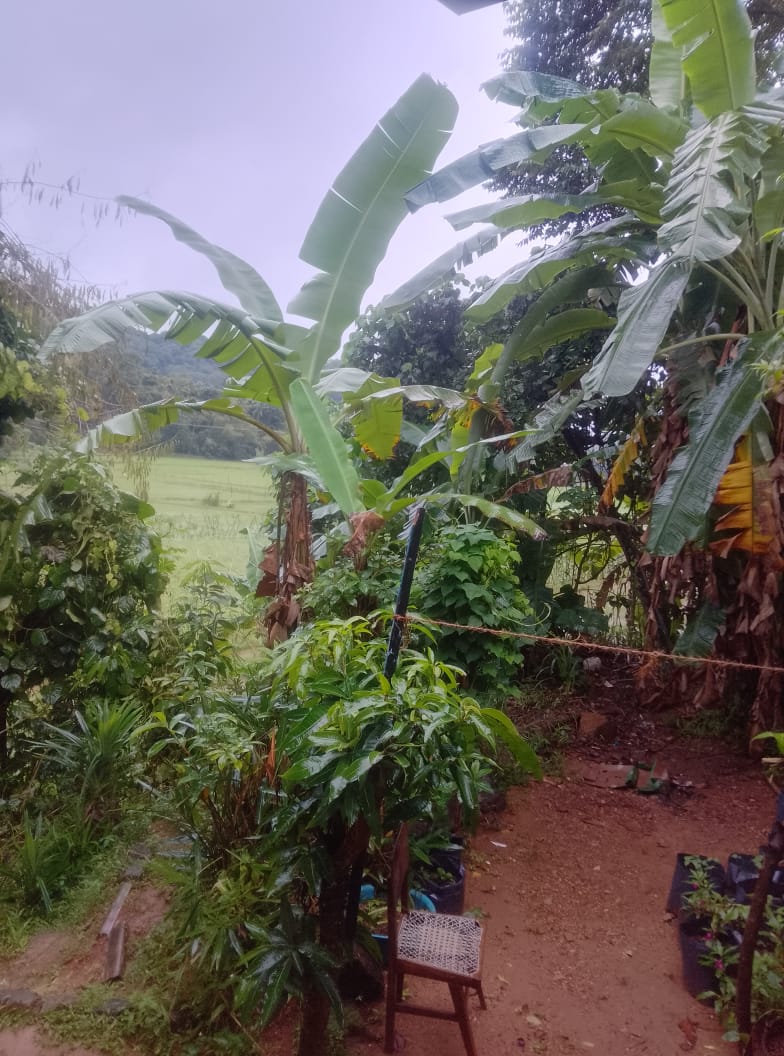 Land for Sale – Narammala