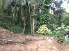 Land for Sale in Balangoda