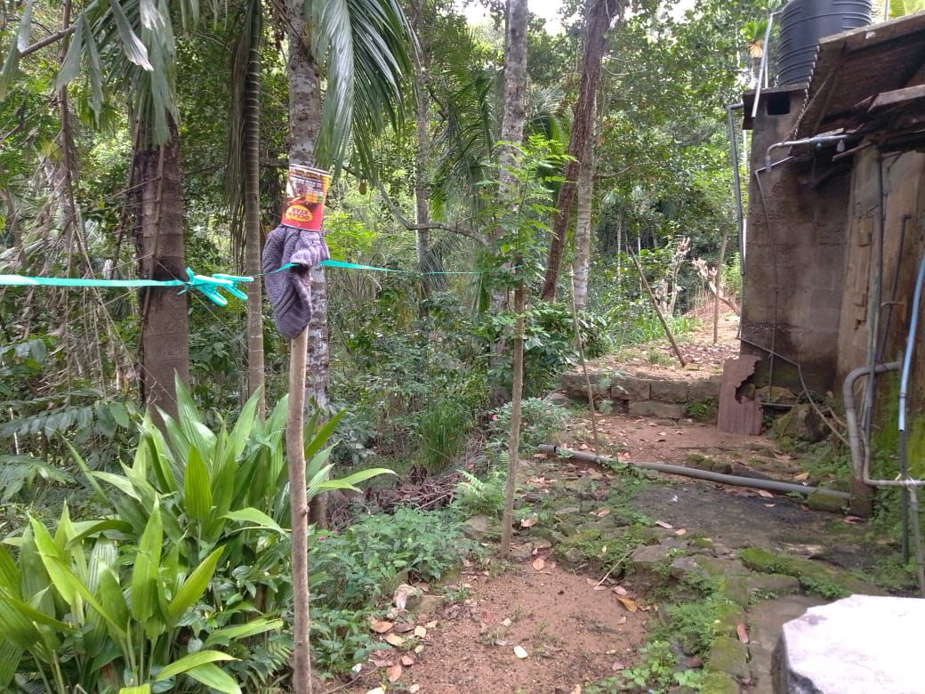 Land for Sale in Balangoda