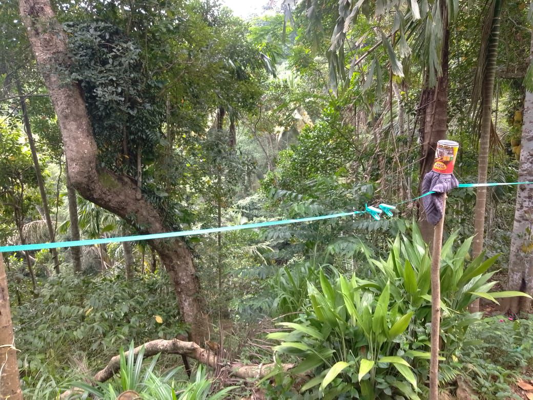 Land for Sale in Balangoda