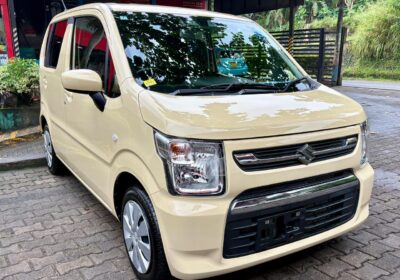 Suzuki Wagon R FX 2024