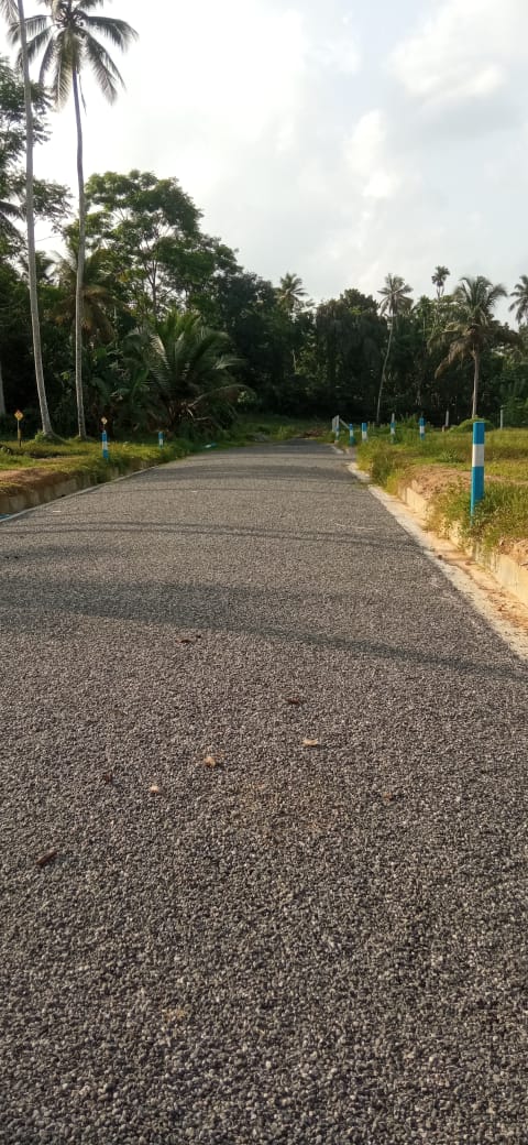 Land Sale in Aalliyawatta