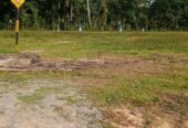 Land Sale in Aalliyawatta