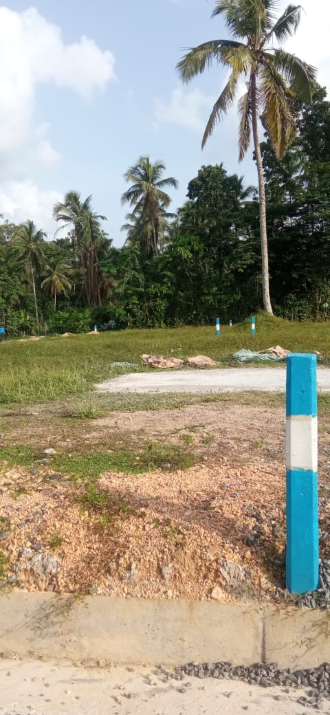 Land Sale in Aalliyawatta