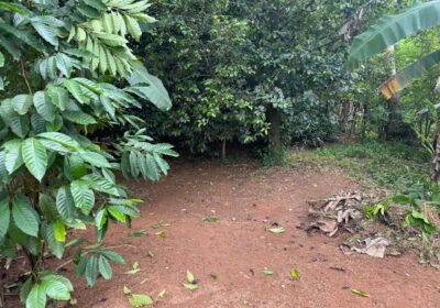 Land for Sale – Godamuduna