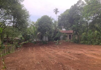 WhatsApp-Image-2025-12-06-at-11.05.49-AM-1