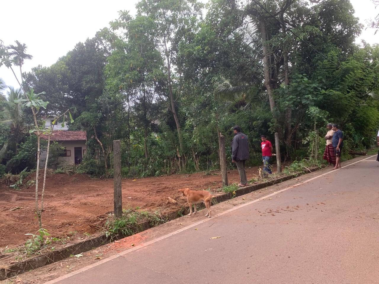 Land for Sale in Panadura , Hirana (25 Perches)