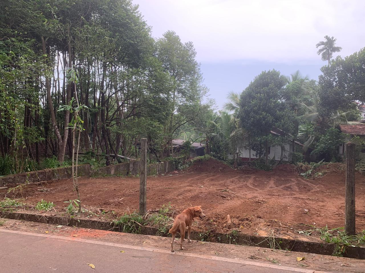 Land for Sale in Panadura , Hirana (25 Perches)