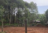 Land for Sale in Panadura , Hirana (25 Perches)