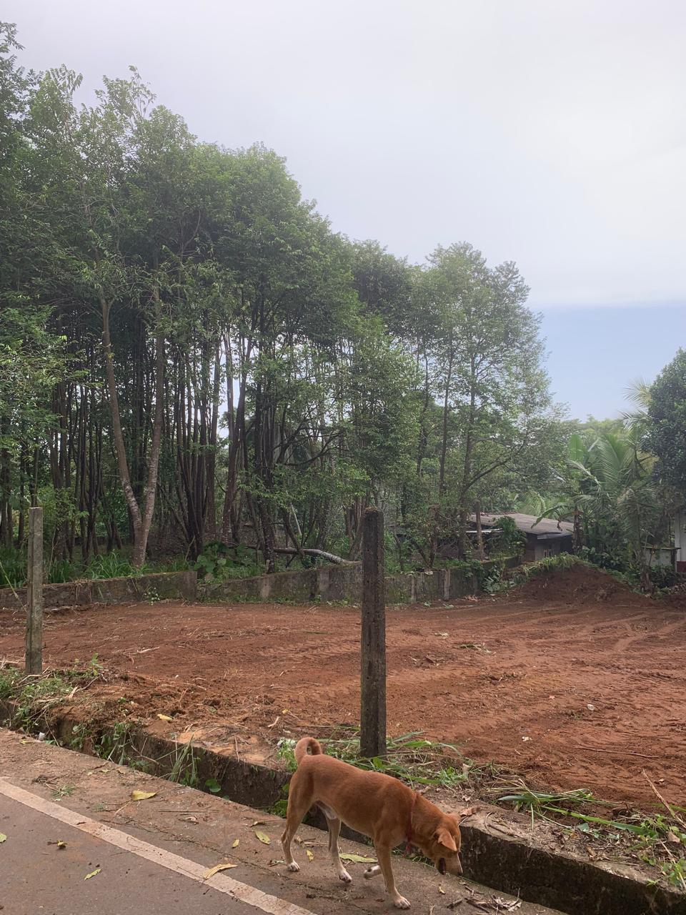 Land for Sale in Panadura , Hirana (25 Perches)
