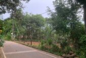 Land for Sale in Panadura , Hirana (25 Perches)